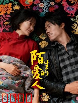 陌生的爱人：错位之恋